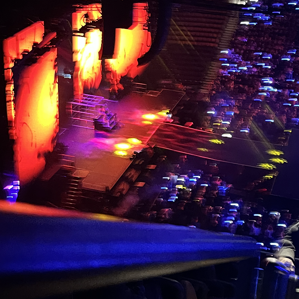 Sound of poeple screaming in concert