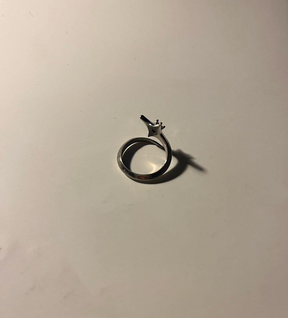 Top of the ring showing details on decorations